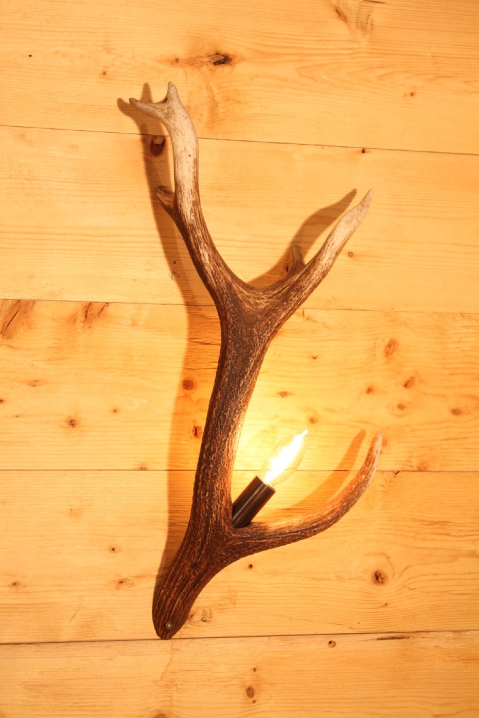 Wandlampe Rothirsch Tirol